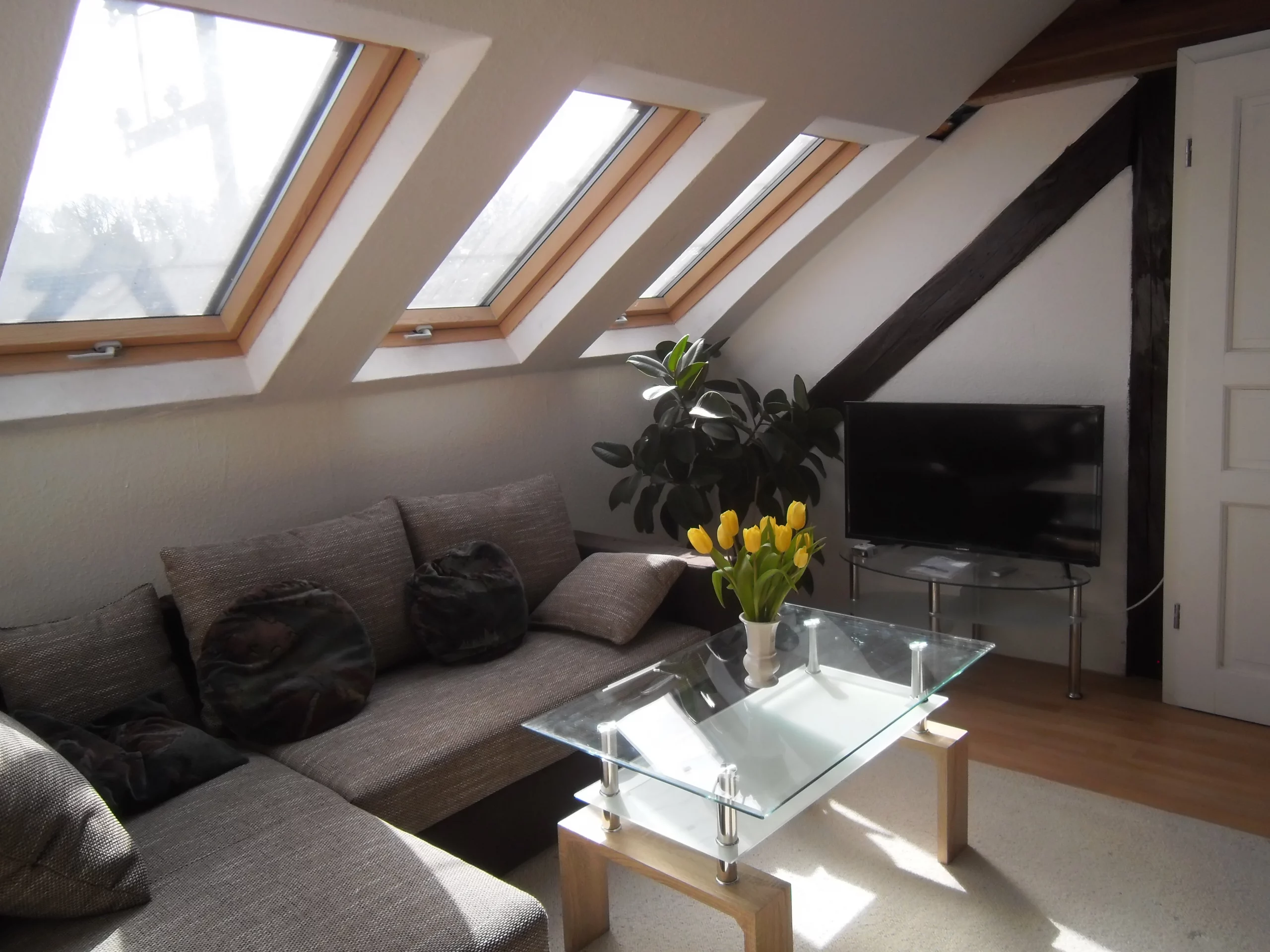 Schwarzer Adler Limburg: deutsches Restaurant